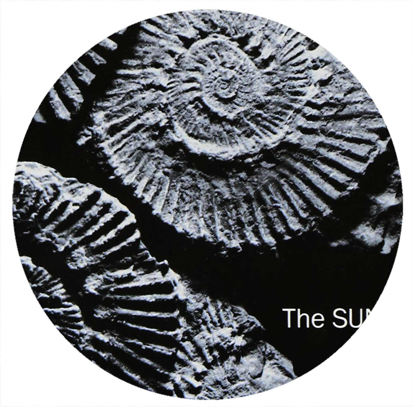 The Sundays - Reading, Writing And Arithmetic -1990 - LP