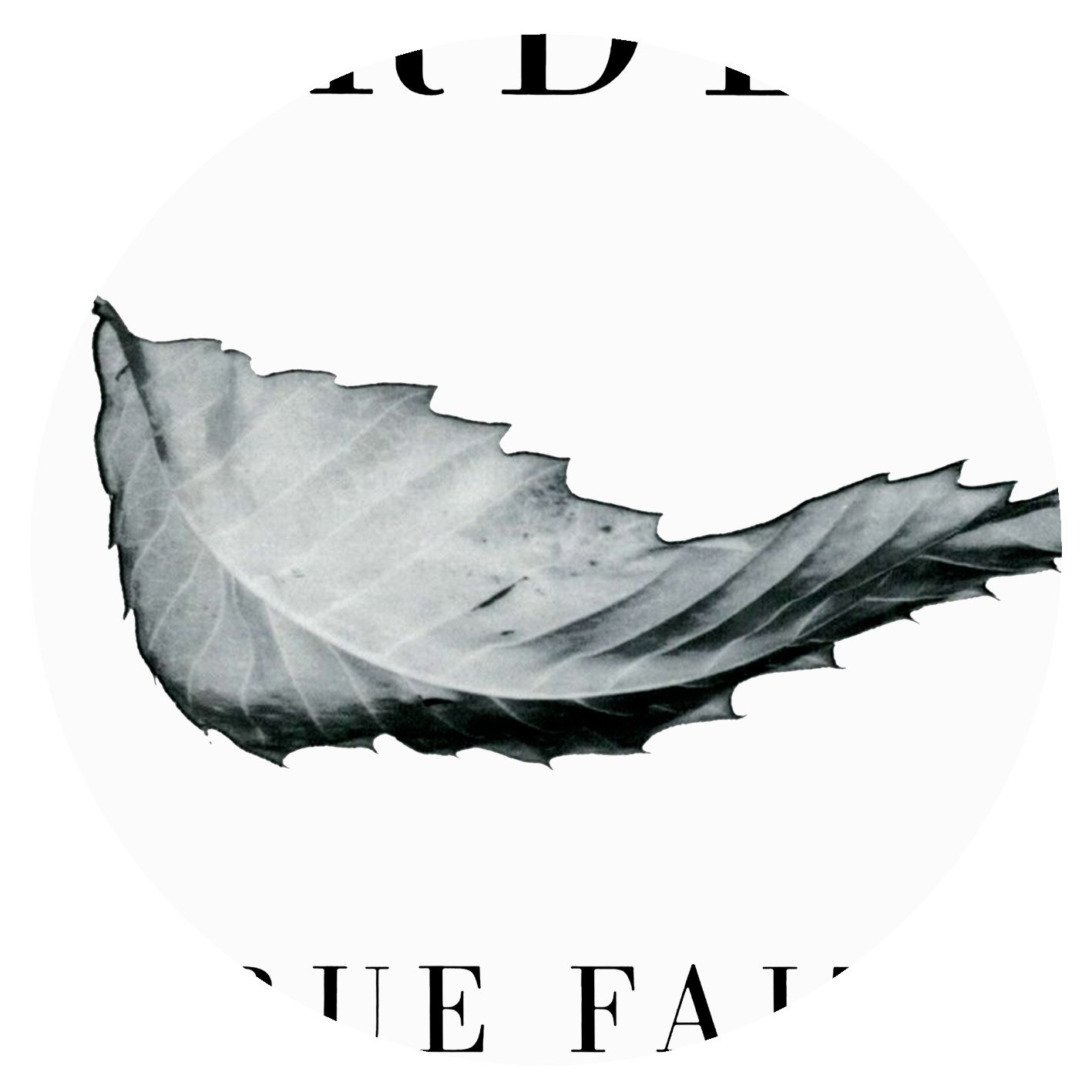 New Order - True Faith - 1987 - Monochrome