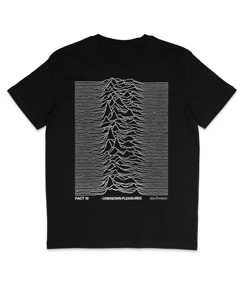 Joy Division - Unknown Pleasures - 1979 - UK Promo Poster Design - FAC 10