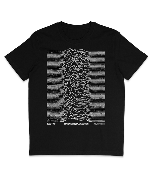 Joy Division - Unknown Pleasures - 1979 - UK Promo Poster Design - FAC 10